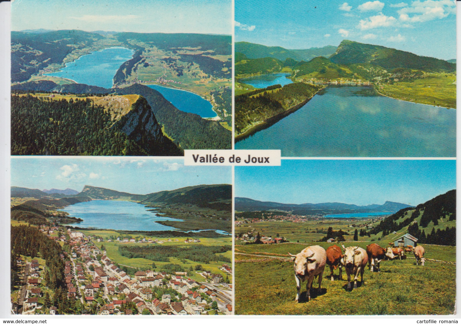 La Vallee De Joux La Dent De Vaulion Le Sentier Lac De Joux Cows Vaches Used - Sent