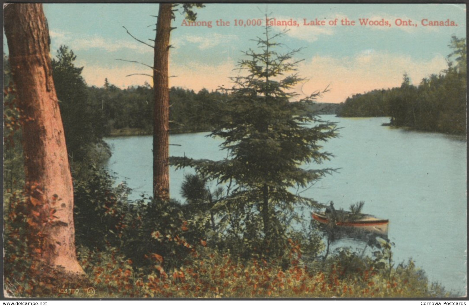 Among The 10,000 Islands, Lake Of The Woods, Ontario, C.1910 - Valentine's Postcard - Thousand Islands