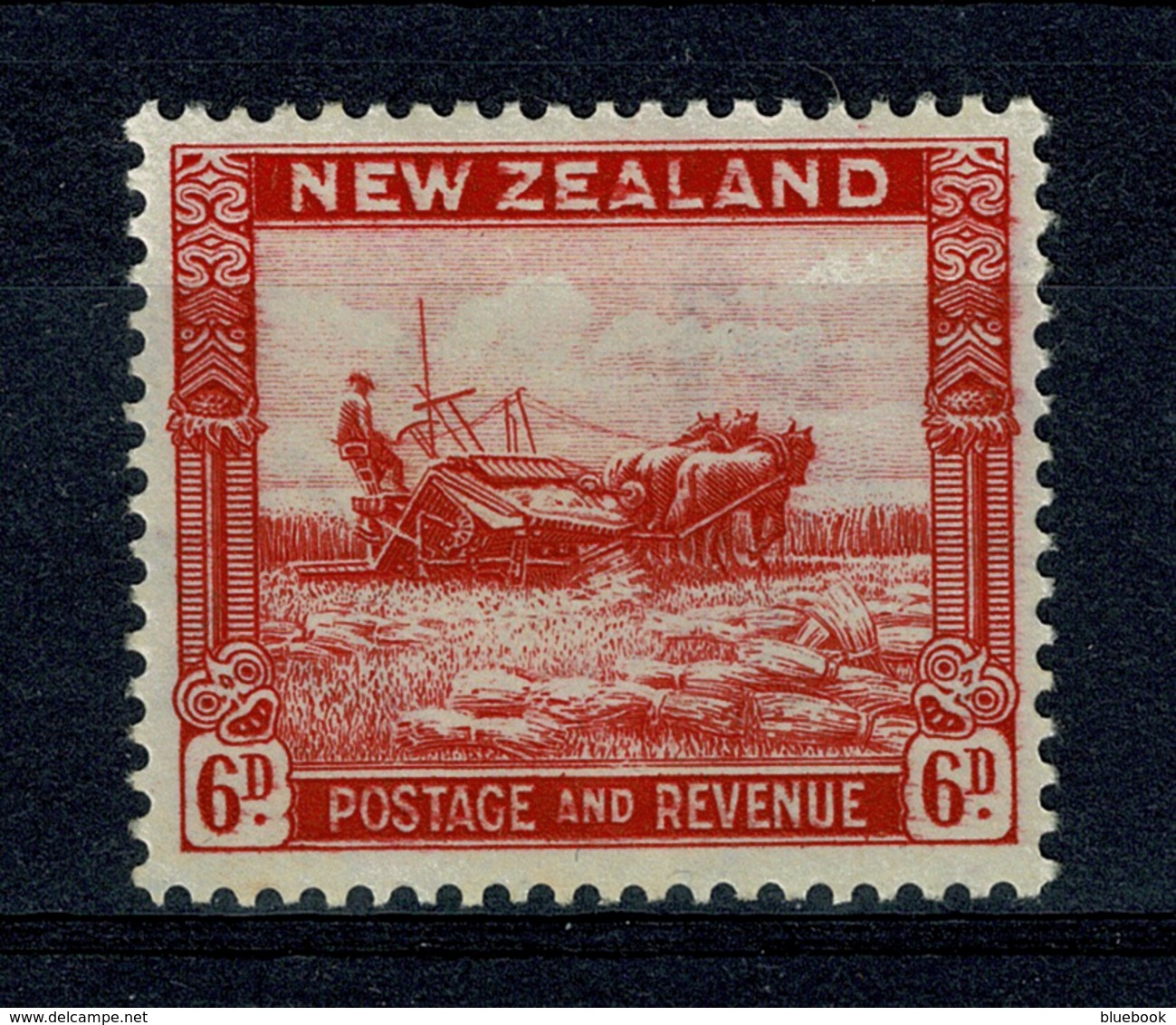 Ref 1282 - New Zealand 1942 KGVI - 6d SG 585c Perf 14.5 X 14 Mint Stamp - Ongebruikt