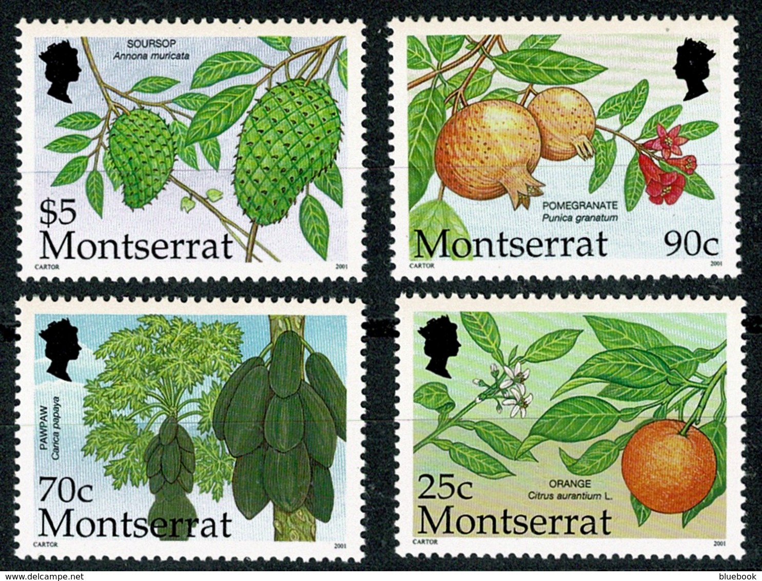 Ref 1282 - 2001 Montserrat 4 X MNH Stamps - Fruits - Cat £6.85 - Montserrat