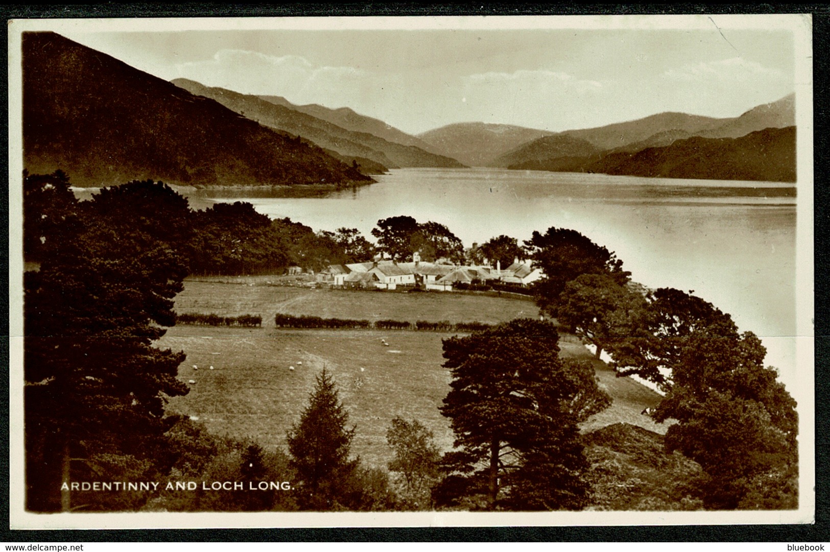 Ref 1282 - Real Photo Postcard - Ardentinny And Loch Long - Argyllshire Scotland - Argyllshire