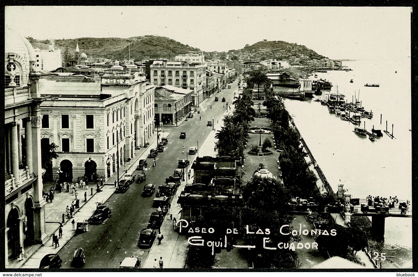 Ref 1282 - Real Photo Postcard - Paseo De La Colonias - Guayaquilo Ecuador - Equateur