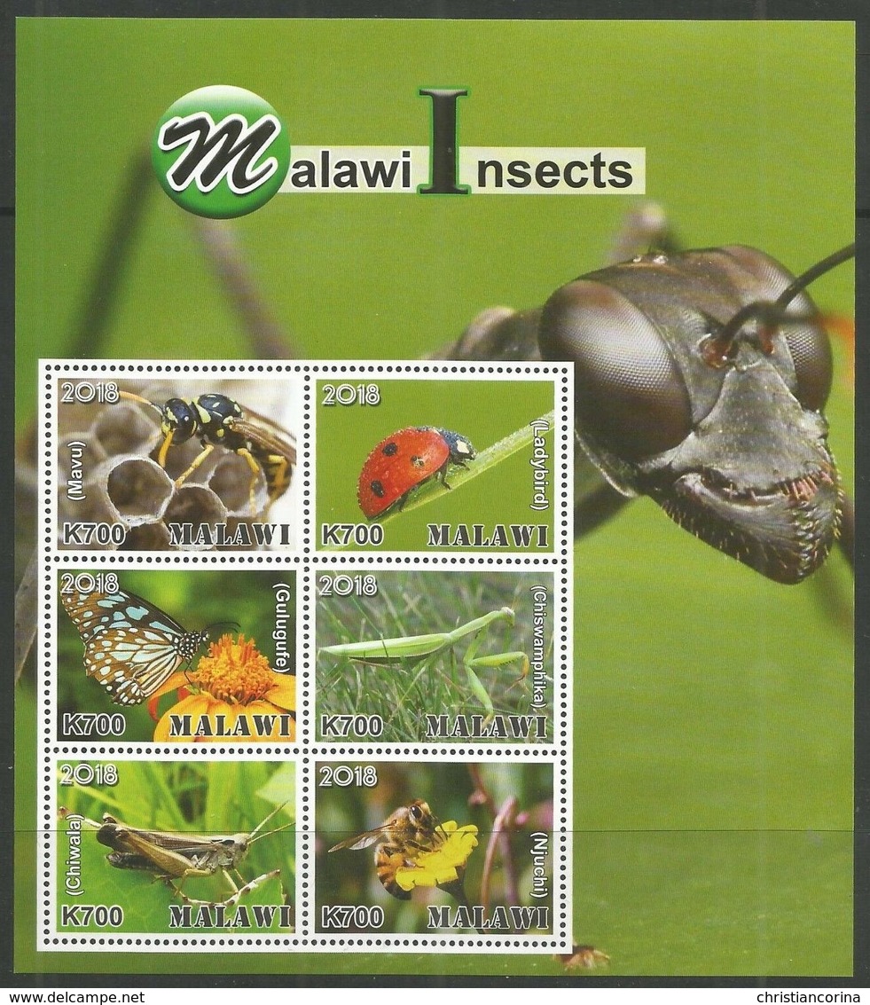 MALAWI 2019 INSECTS - Altri & Non Classificati