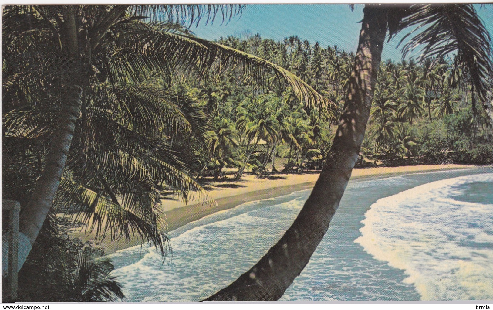 Baccolet Beach (Trinidad Tobago ) - Autres & Non Classés