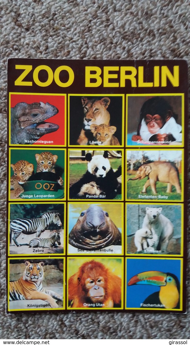 CPSM ZOO BERLIN ANIMAUX ELLEPHANT LION SINGE OURS ZEBRE TIGRE  PLIEE 2 EME CHOIX - Elephants