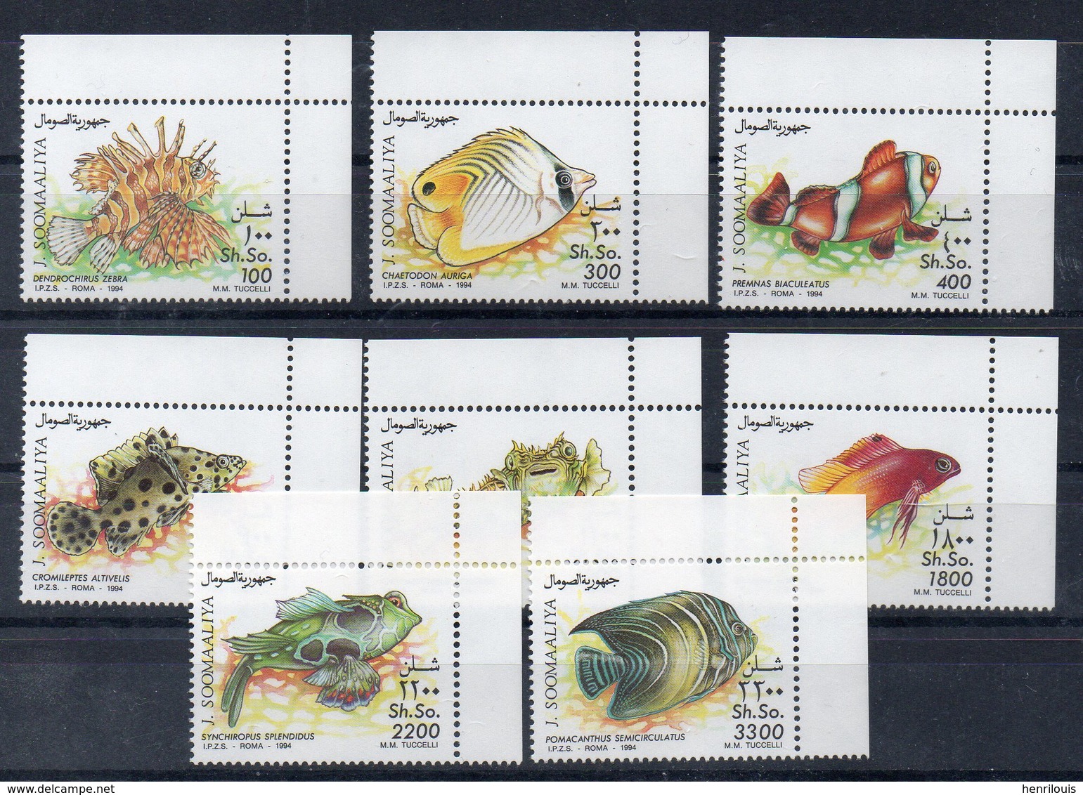 SOMALIE  Timbres Neufs ** De 1994  ( Ref 6277 ) Animaux - Poissons - Somalie (1960-...)