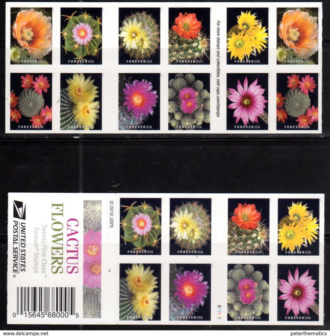 USA, 2018, MNH, PLANTS, CACTUS, CACTUS FLOWERS, BOOKLET - Cactusses