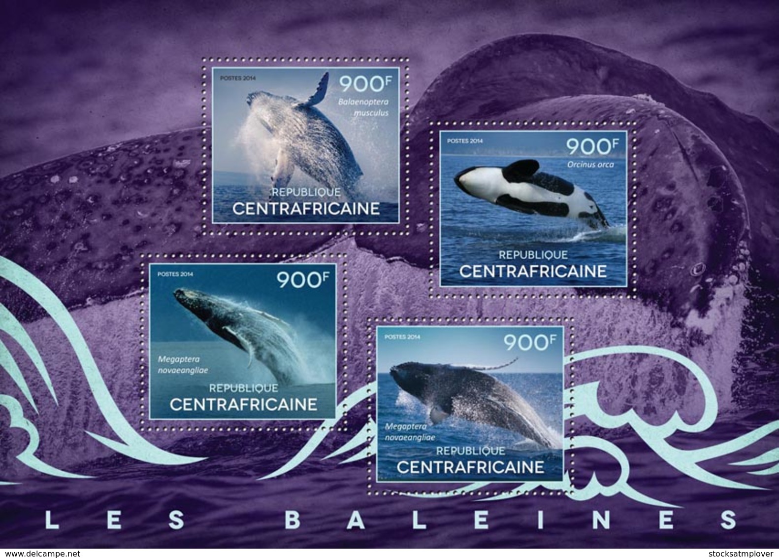 Central Africa  2014 Fauna Whales - Zentralafrik. Republik