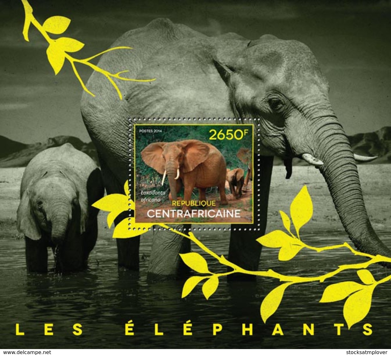 Central Africa  2014 Fauna Elephants - Centraal-Afrikaanse Republiek