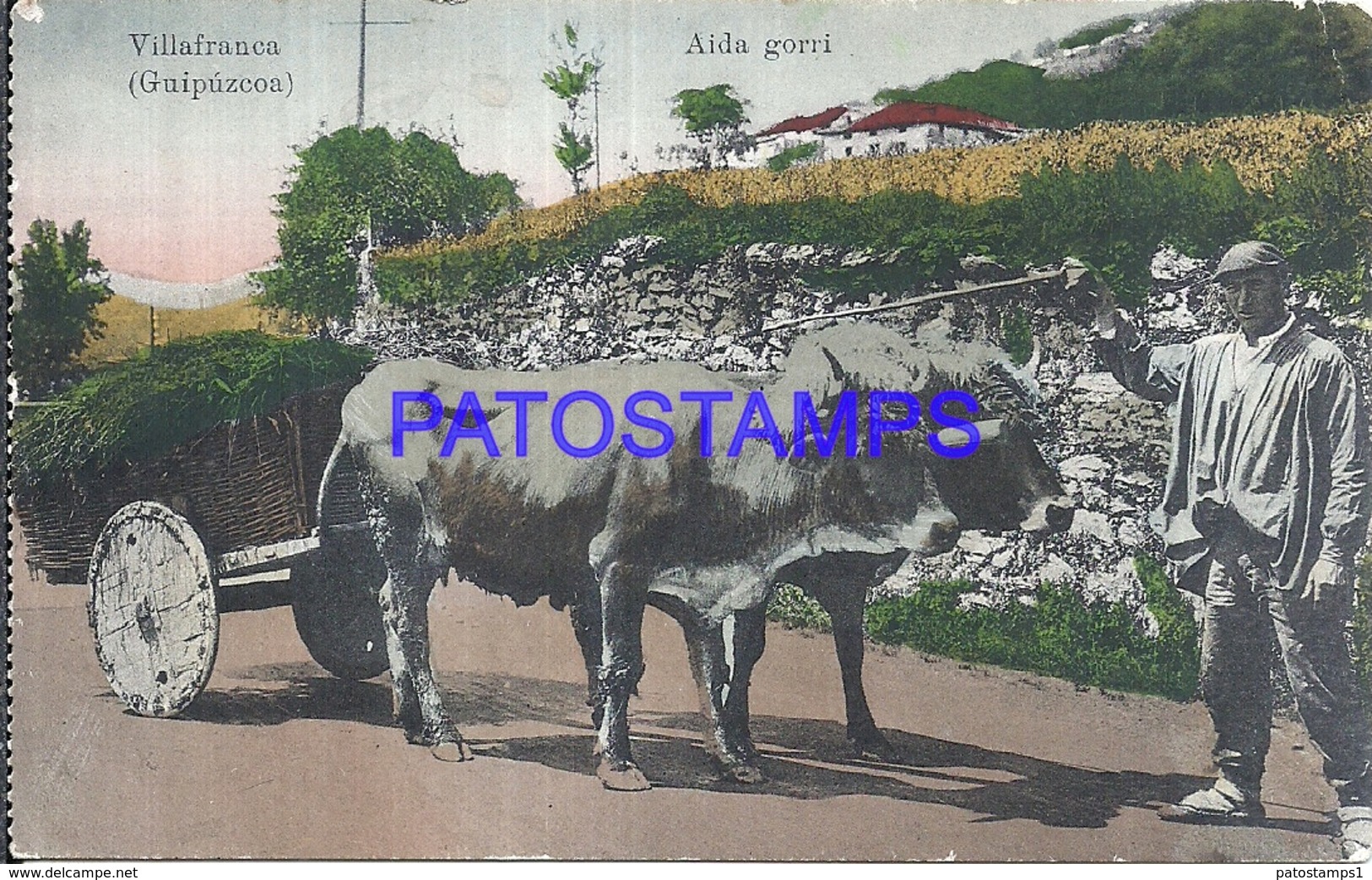 109501 SPAIN ESPAÑA VILLAFRANCA GUIPUZCOA PAIS VASCO AIDA GORRI COSTUMES MAN AND COW POSTAL POSTCARD - Otros & Sin Clasificación