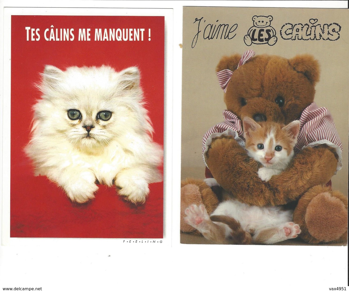 LES CHATS    CALINS    ****   A  SAISIR ***** - Katten