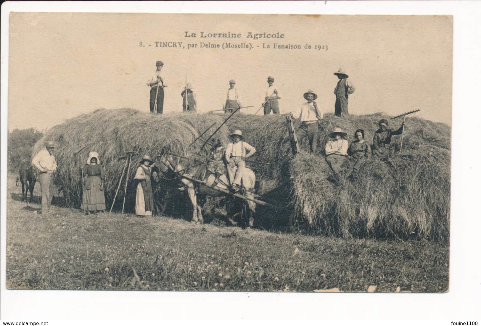 Carte De TINCRY Par DELME La Fenaison De 1923  La Lorraine Agricole - Altri & Non Classificati