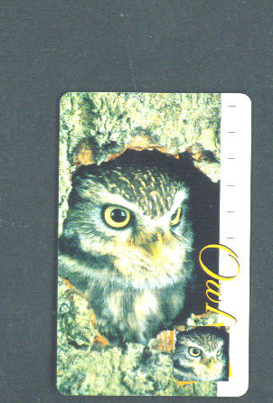 SOUTH AFRICA - Chip Phonecard/Owl - Zuid-Afrika