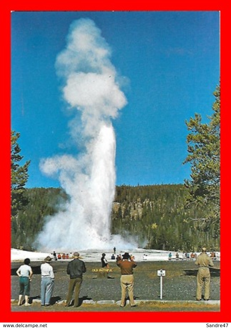 2 CPSM/gf YELLOWSTONE (Etats-Unis)  Old Faithful Geyser National Park...I930 - Yellowstone