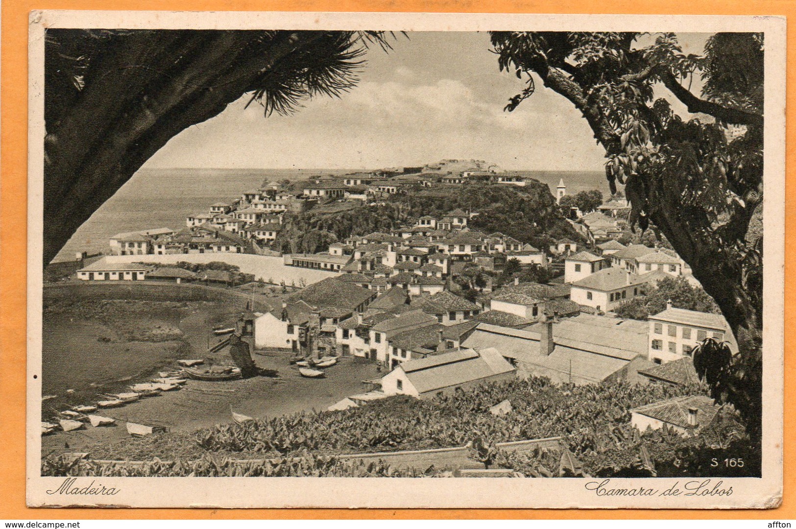 Funchal Madeira 1952 Postcard - Madeira