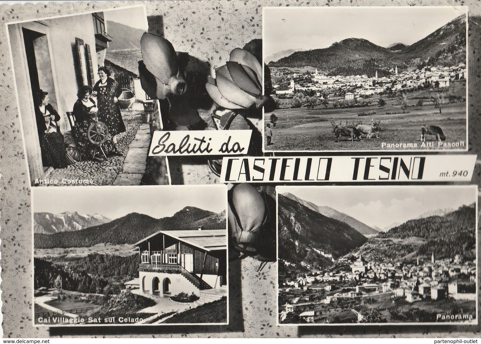 Cartolina - Postcard -   Viaggiata -   Sent  -  Castello Tesino, Saluti. ( Gran Formato ) Anni 60° - Trento