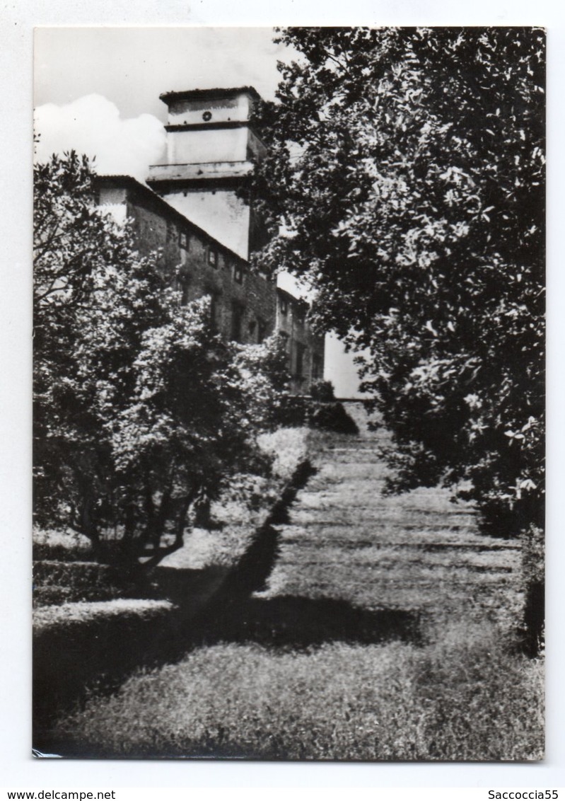 CASTEL VISCARDO PARCO DEL CASTELLO DEI DUCHI DI MONTEVECCHIO - Terni