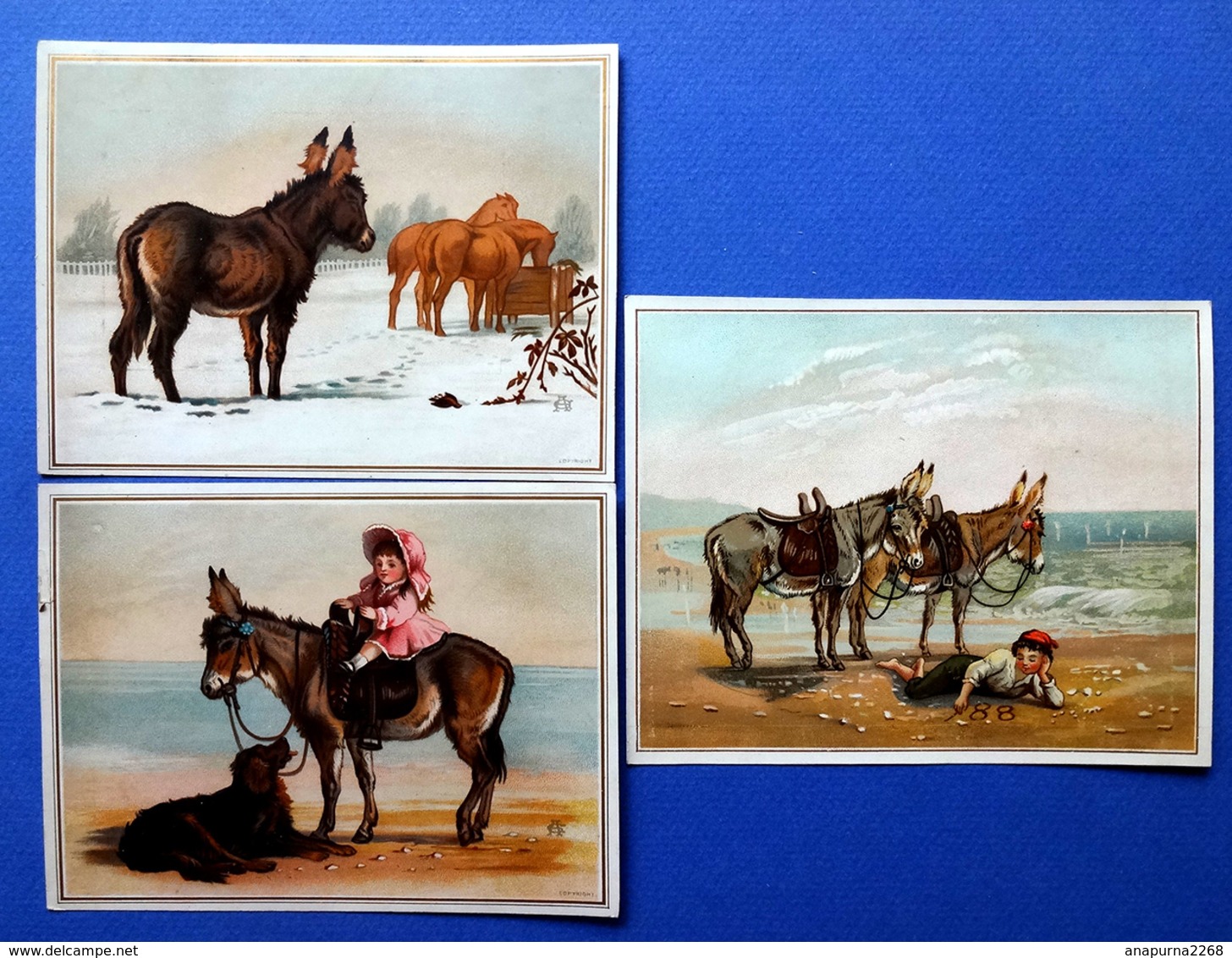 3 CHROMOS LITHOGRAPHIES  ......GRAND FORMAT....ÂNES ET CHEVAUX - Autres & Non Classés