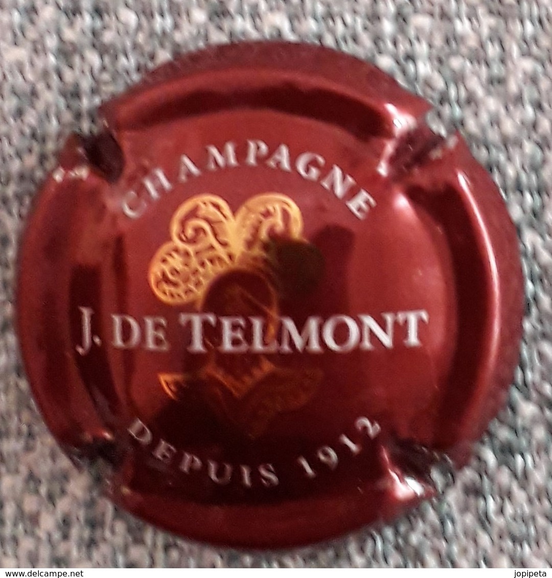 CAPSULE CHAMPAGNE  DE  TELMONT - Autres & Non Classés