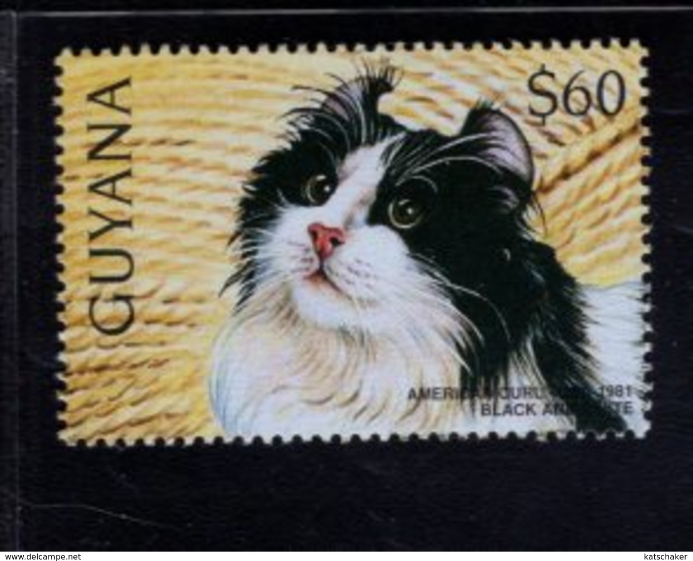 740904488 POSTFRIS  MINT NEVER HINGED EINWANDFREI SCOTT 3102B DOMESTIC CATS AMERICAN CURL - Guyane (1966-...)