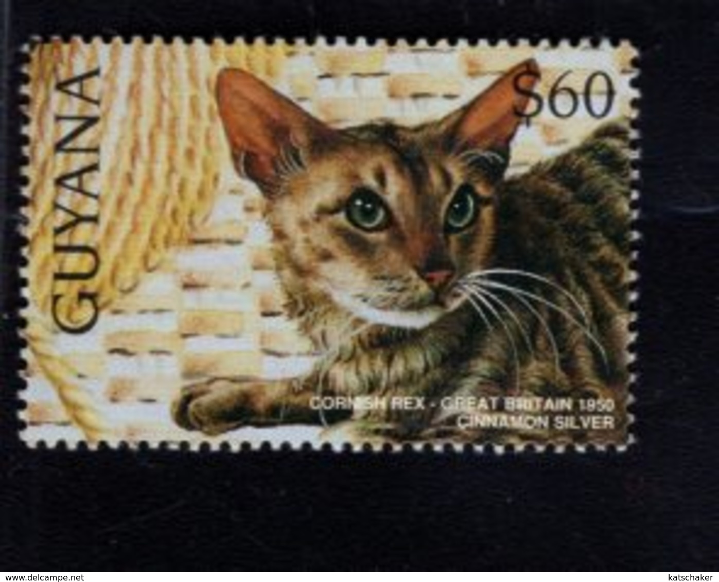 740904878 POSTFRIS  MINT NEVER HINGED EINWANDFREI SCOTT 3102I DOMESTIC CATS CORNISH REX - Guyane (1966-...)