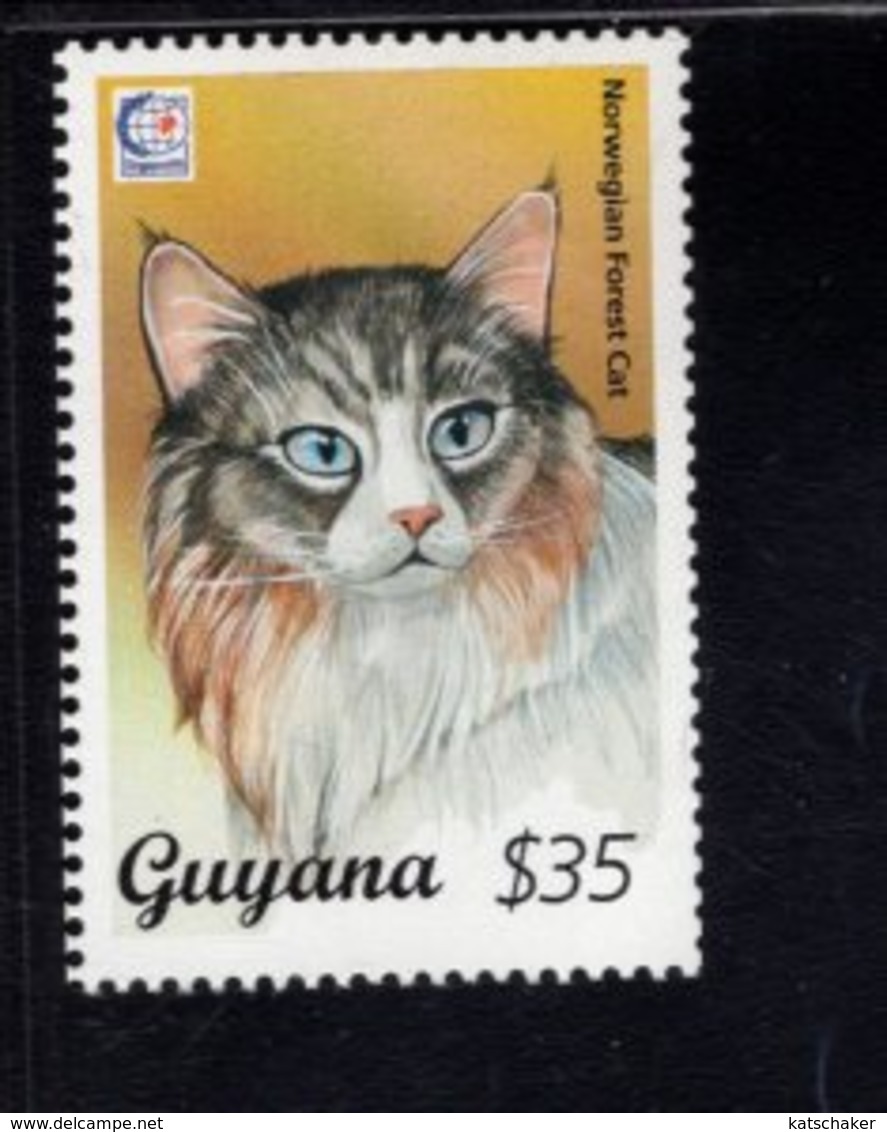 740907320 POSTFRIS  MINT NEVER HINGED EINWANDFREI SCOTT 2945A DOMESTIC NORWEGIAN FOREST CAT - Guyane (1966-...)