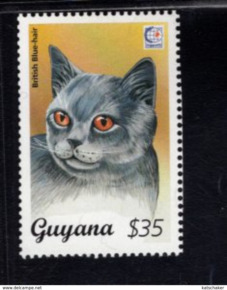 740908349 POSTFRIS  MINT NEVER HINGED EINWANDFREI SCOTT 2945D DOMESTIC CAT BRITISH BLUE-HAIR - Guyana (1966-...)