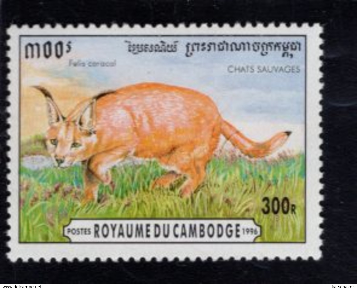 740952086 POSTFRIS  MINT NEVER HINGED EINWANDFREI SCOTT 1493 WILD CATS - Cambodge