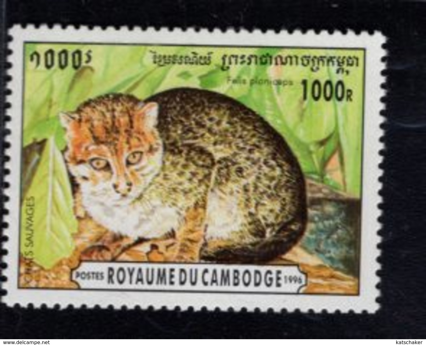 740952503 POSTFRIS  MINT NEVER HINGED EINWANDFREI SCOTT 1496 WILD CATS - Cambodge