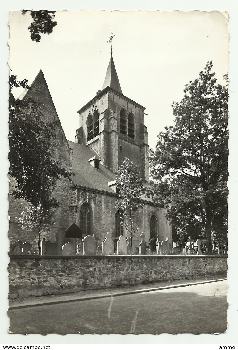 Sint-Pieters-Leeuw   *   Hoofdkerk En Oude Kerkhof  - Eglise Et L'Ancien Cimetière   (CPM) - Sint-Pieters-Leeuw