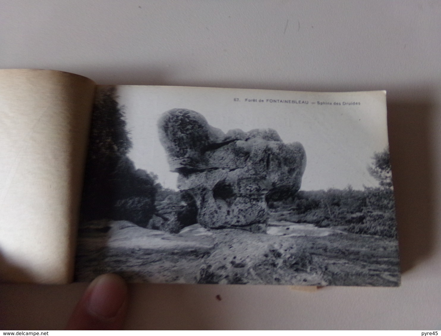 Forêt de Fontainebleau 23 vues