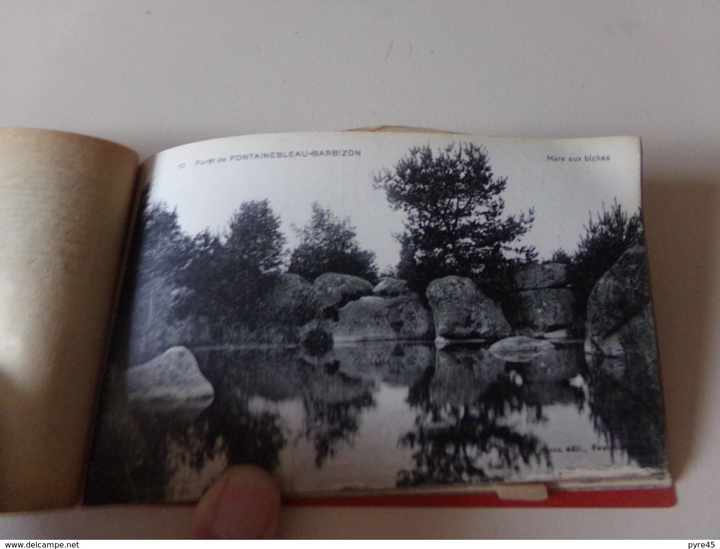 Forêt de Fontainebleau 23 vues