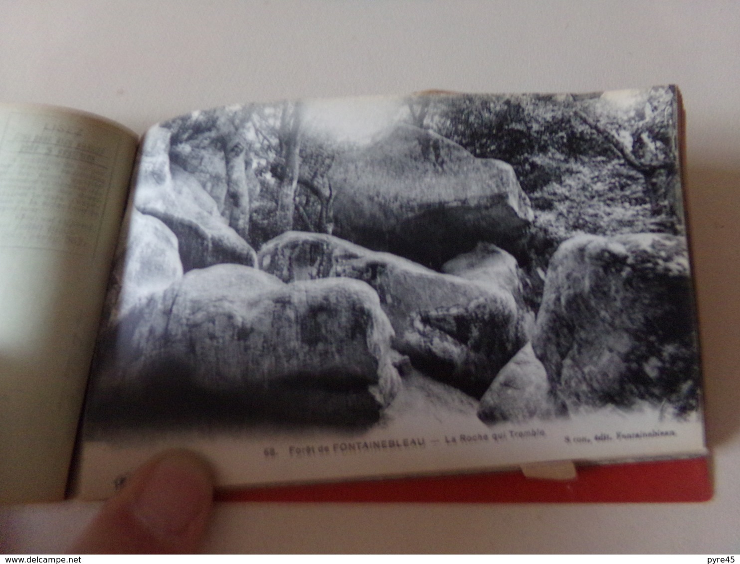 Forêt de Fontainebleau 23 vues