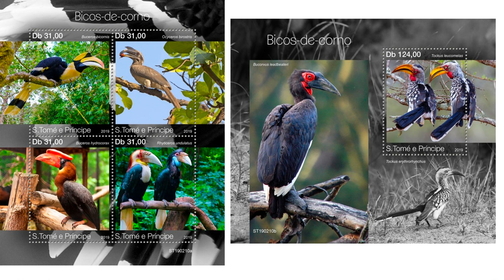 Sao Tome 2019 Hornbills Birds MS+S/S ST19210 - Other & Unclassified