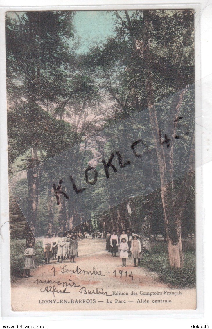 55 LIGNY EN BARROIS ( Meuse ) - Le Parc - Allée Centrale - Animé Groupe De Jeunes Filles ... - CPA Couleur - Ligny En Barrois