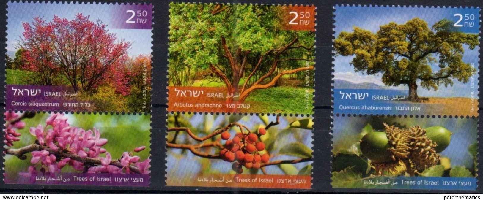 ISRAEL, 2018, MNH, TREES, 3v+TABS - Trees