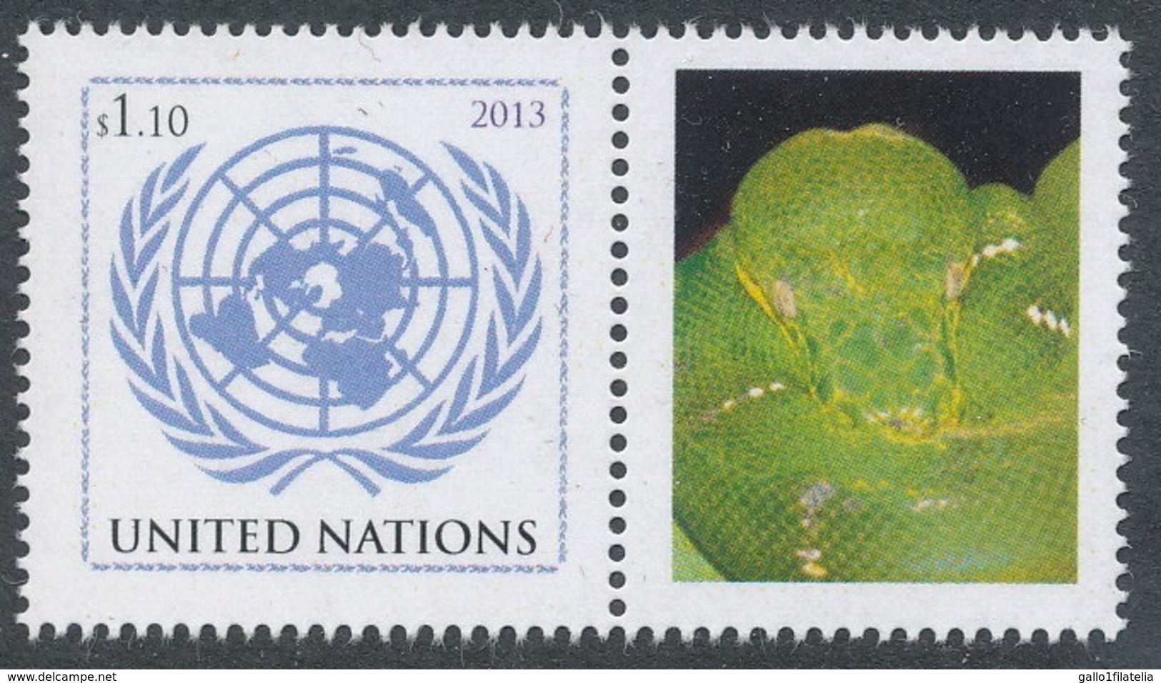 2013 - O.N.U. / UNITED NATIONS - NEW YORK - 40mo ANNIVERSARIO DI CITES / 40th ANNIVERSARY OF CITES. MNH - Nuovi