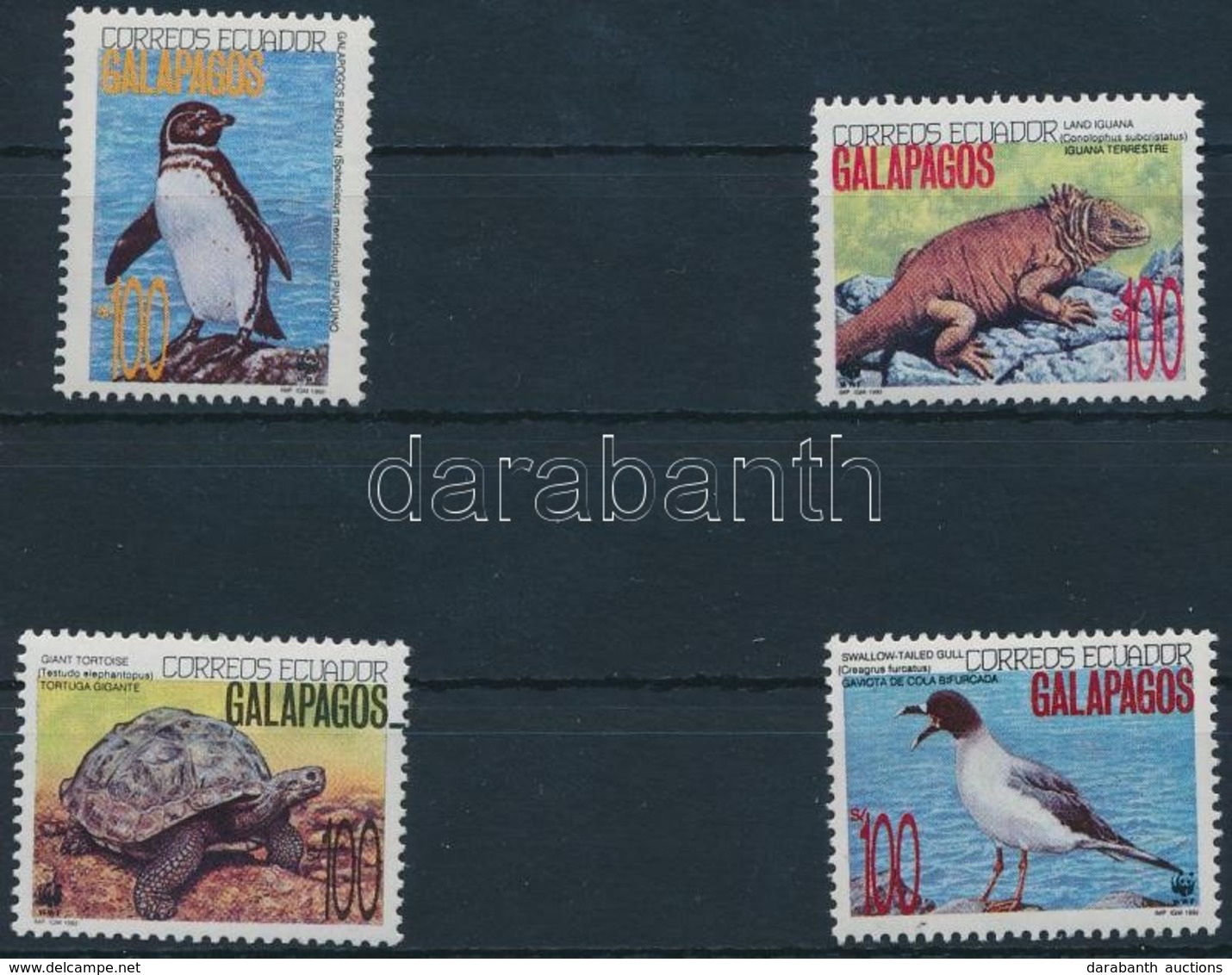 ** 1992 WWF: Galapagos Sor 4 értéke Mi 2207-2209 + 2212  4 FDC + 4 CM - Other & Unclassified