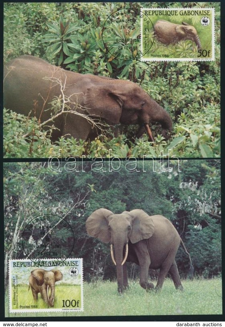 1988 WWF: Erdei Elefánt Sor Mi 1009-1012 4 Db CM-en - Other & Unclassified