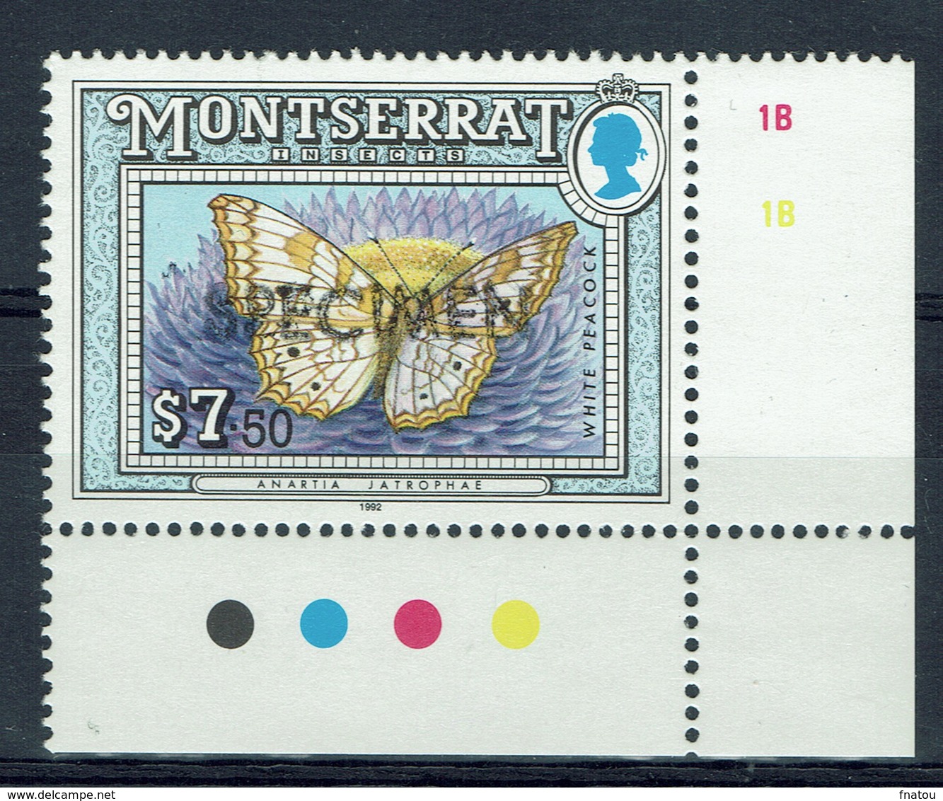 Montserrat, Butterfly, White Peacock, Overprint "SPECIMEN", 1992, MNH VF - Montserrat