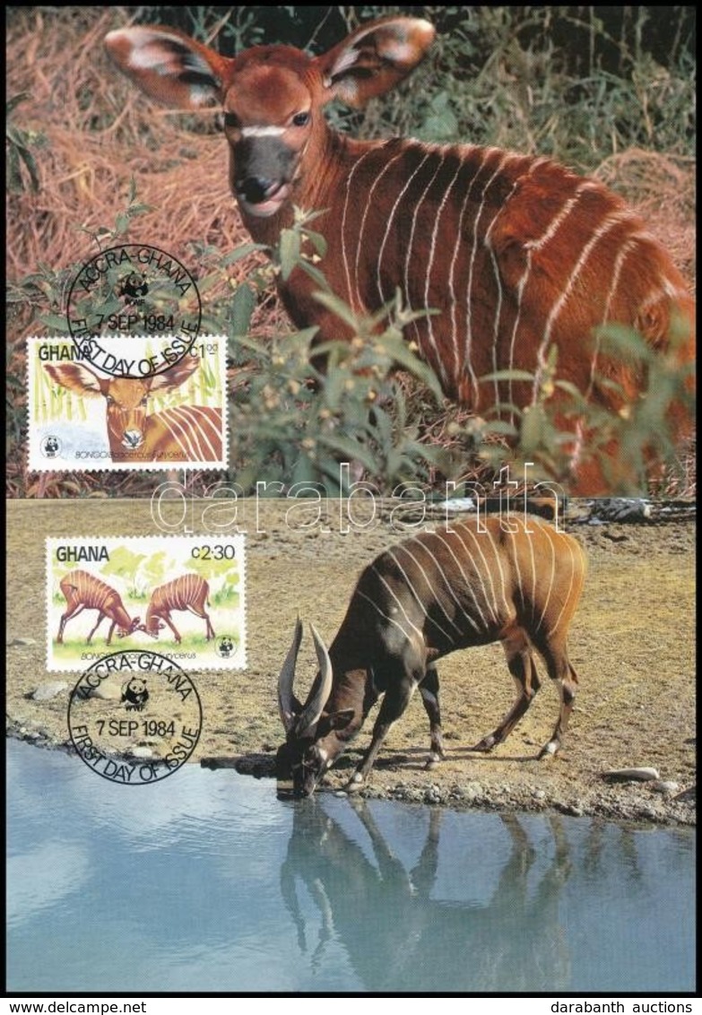 1984 WWF: Bongo Sor 4 Db CM-en Mi 1060-1063 - Other & Unclassified