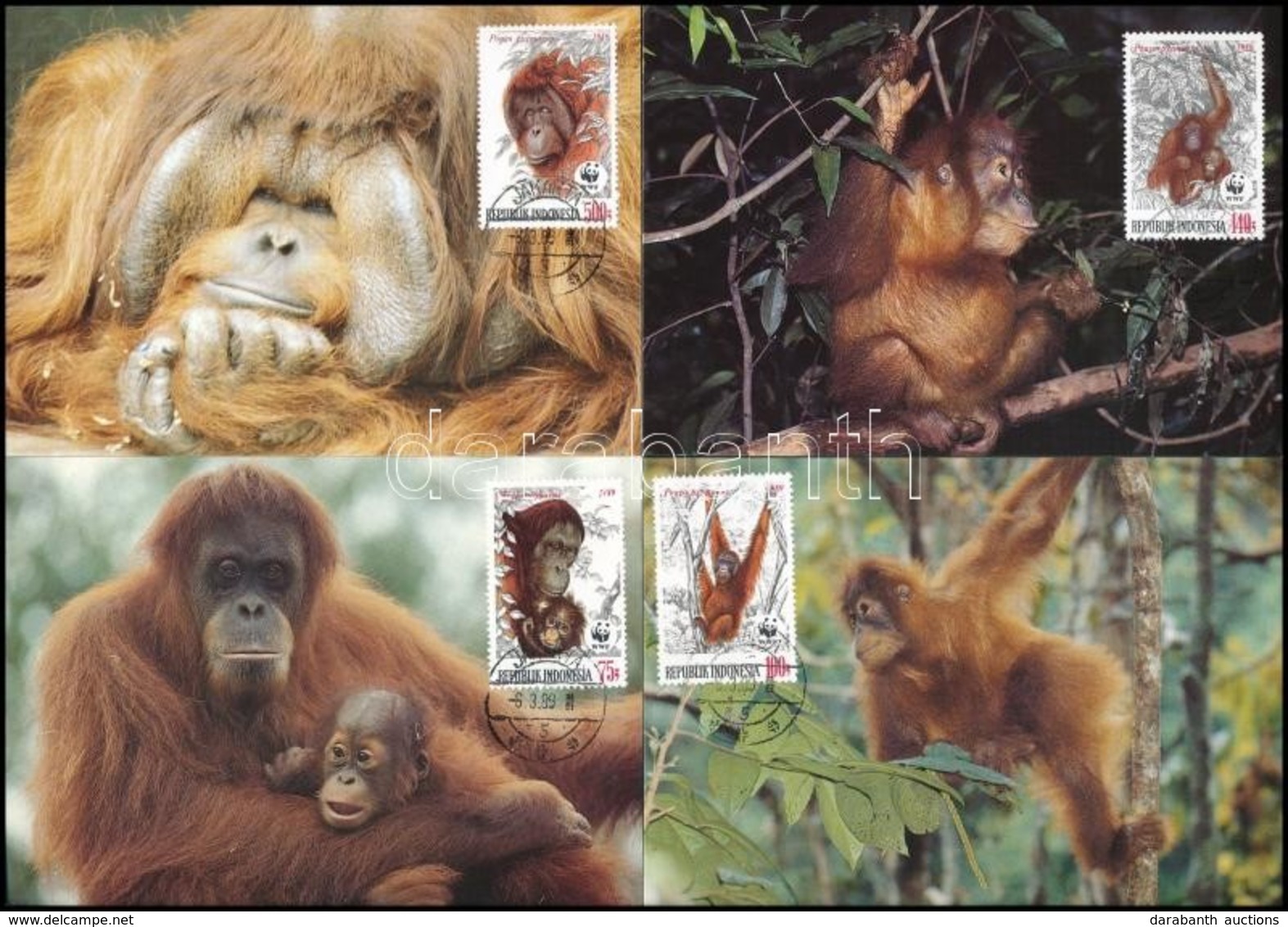 1989 WWF: Orangután Sor 4 Db CM-en Mi 1291-1294 - Other & Unclassified