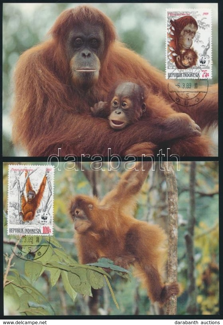 1989 WWF: Orangután Sor Mi 1291-1294 4 Db CM-en - Other & Unclassified