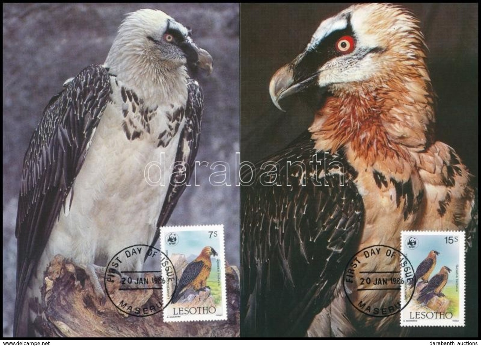 1986 WWF: Saskeselyű Sor 4 Db CM-en Mi 556-559 - Other & Unclassified
