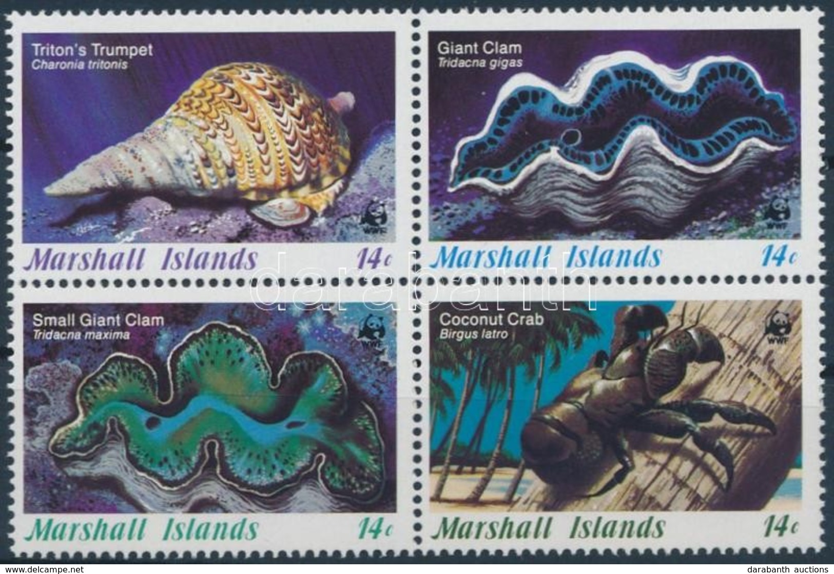 ** 1986 WWF Tengeri Kagylók és Csigák Négyestömb + 4 FDC Mi 73-76 - Other & Unclassified