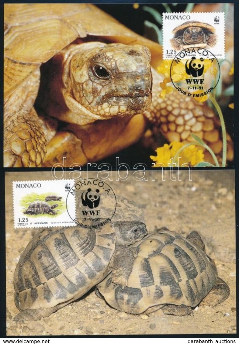 1991 WWF Teknős Sor 4 Db CM-en Mi 2046-2049 - Andere & Zonder Classificatie