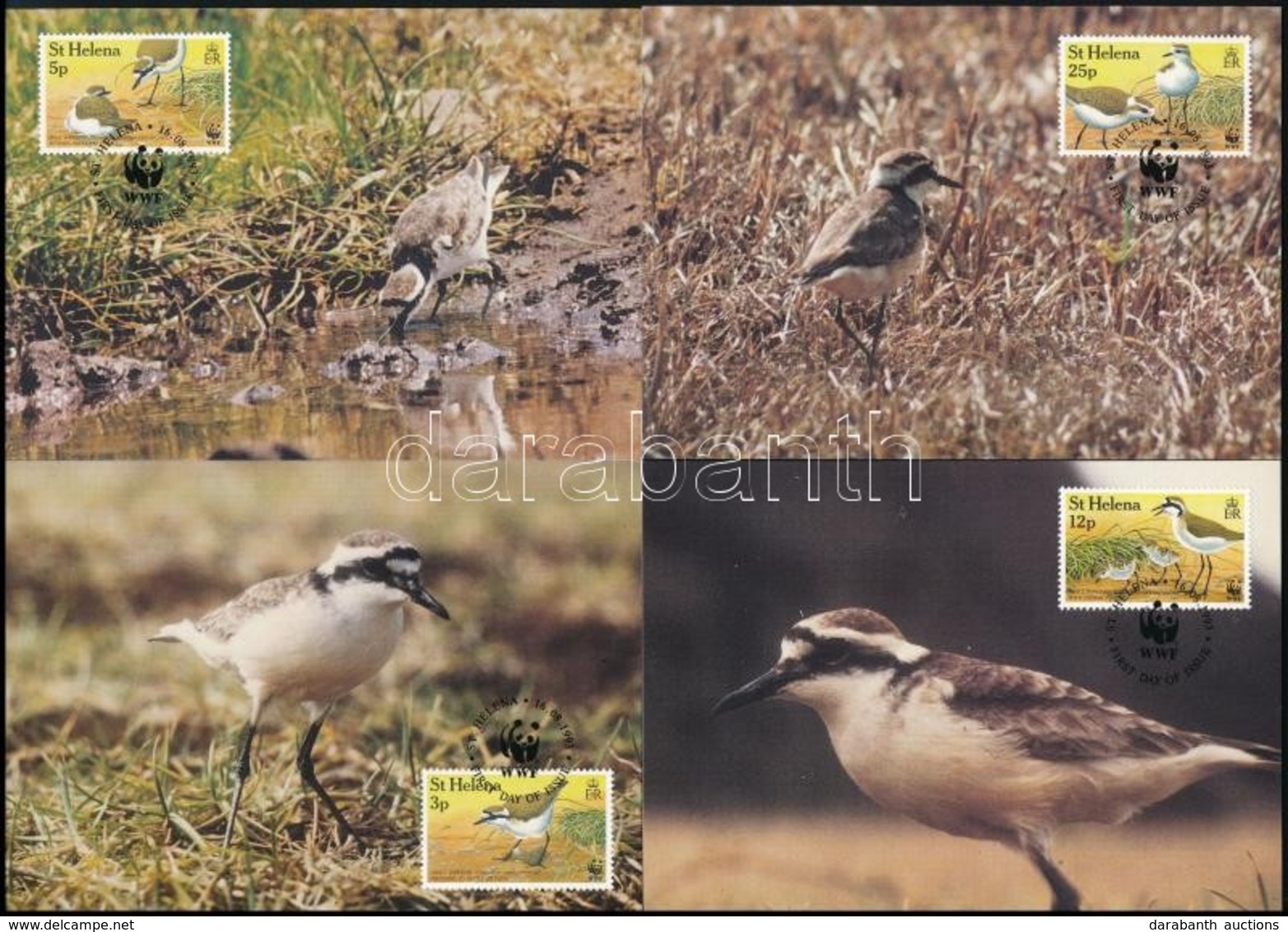 1993 WWF: Szent Ilona-szigeti Lile Sor 4 értéke Mi 597-600 4 Db CM-en - Andere & Zonder Classificatie