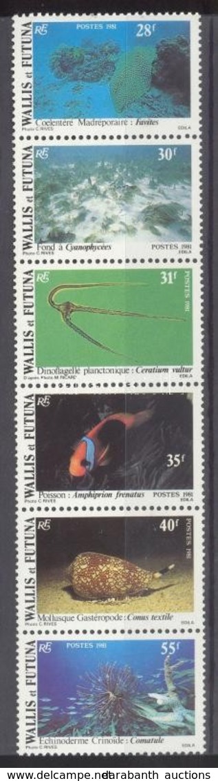 ** 1981 Tengeri állatok Hatoscsík Mi 390-395 - Other & Unclassified