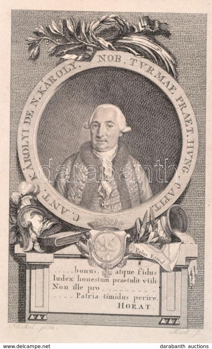 Nagykárolyi Gróf Károlyi Antal (1732-1791.) Táborszernagy, Főispán, Valóságos Komornyik.  Rézmetszetű Porctréja. 10x14 C - Prints & Engravings