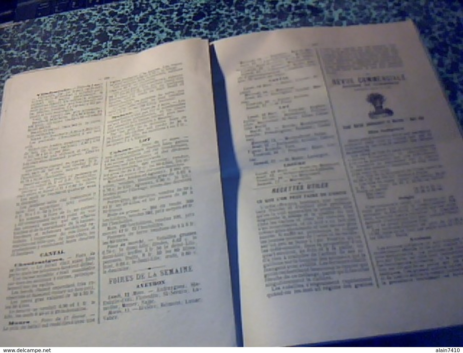 Revue Agriculture " Le Cultivateur De L Aveyron Du Cantal  Du Lot Et Dela Lozere" Annèe 1894 No 10 - Riviste - Ante 1900